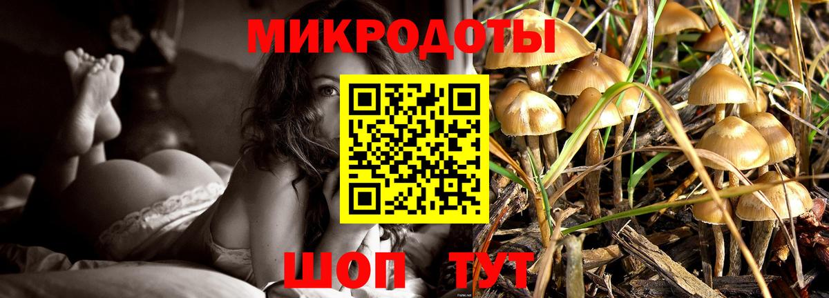 Рузаевка  Псилоцибиновые грибы ЛСД  Вход с VPN 